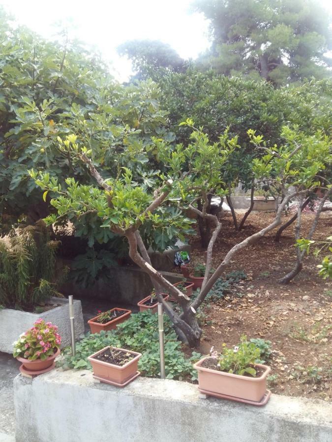 Manda Ljubetic Apartment Сутиван Екстериор снимка