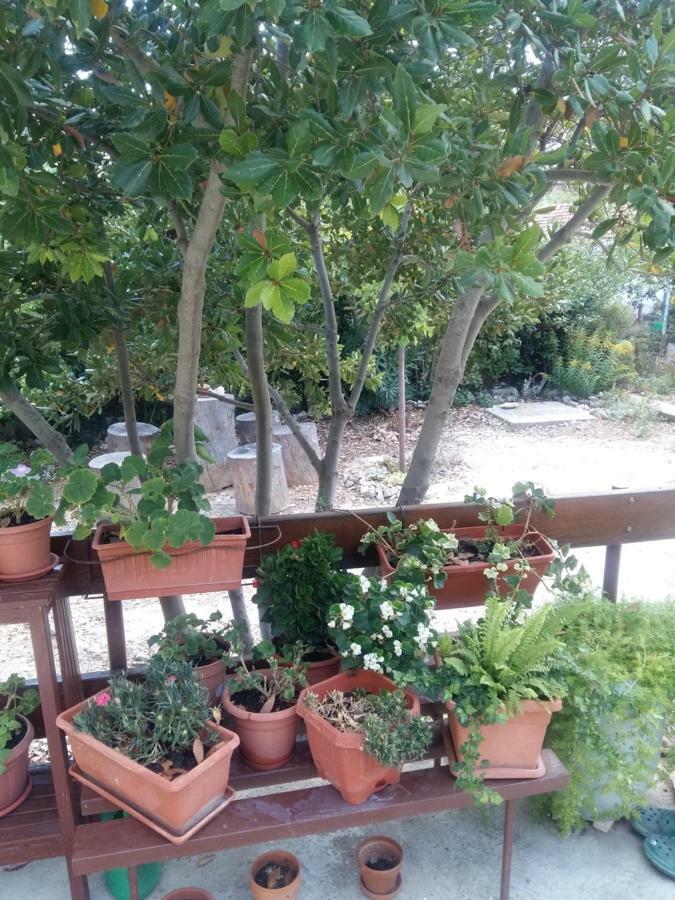 Manda Ljubetic Apartment Сутиван Екстериор снимка